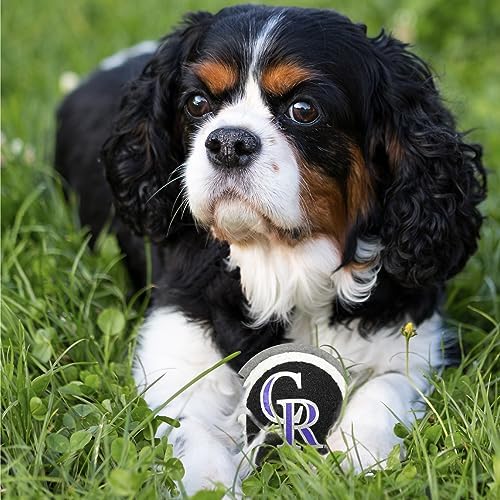 MLB Colorado Rockies TENNIS BALLS for DOGS & CATS - 2 piece set with Team Logo in Vibrant Team Color