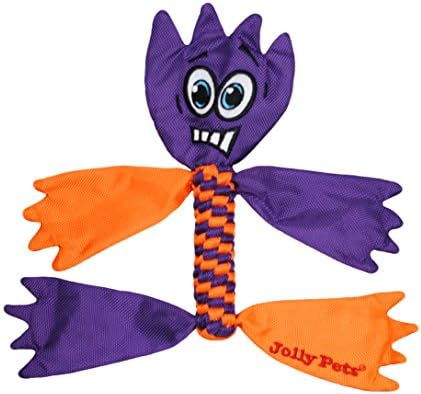 Jolly Pets Flathead Tug & Squeak Dog Toy, Stuffing-Free, Large