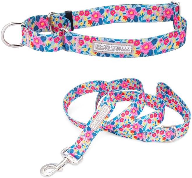 Lucky Love Dog Martingale Collar & Leash Set No Slip – Valentina, Small