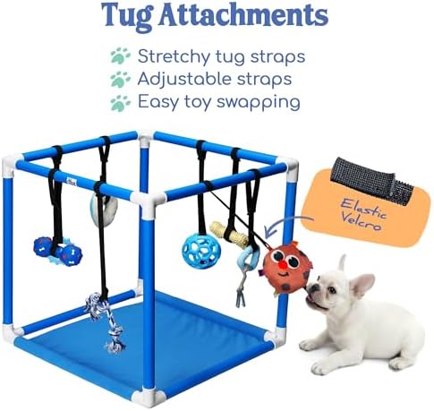 Race&Herd 19.5" Puppy Play Gym — Small Dog Jungle Activity Mat (Ocean)