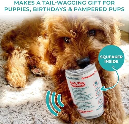 Haute Diggity Dog Puppi Plush Dog Toy, Drink Parody Stuffed Chew Toys