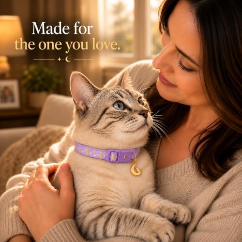 Breakaway Cat Collar with Bell for Kittens & Cats