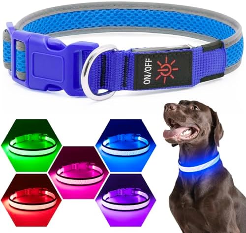 Flashseen LED Dog Collar, Light Up Dog Collar USB Rechargeable, Blue, S