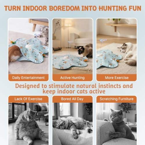 Interactive Cat Toys, Automatic Hide and Seek Feather Toy for Indoor Cats