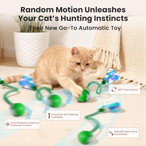 Rocfish Durable Interactive Cat Toys for Indoor Cats (Green, 03)
