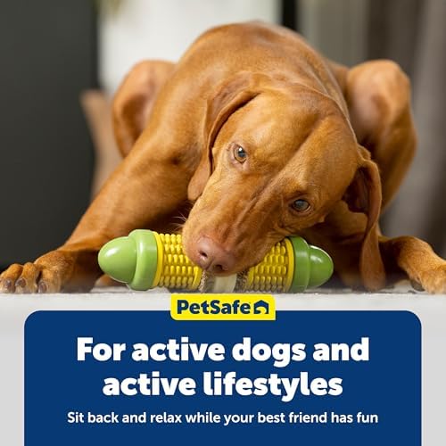 PetSafe Busy Buddy Cravin Corncob Treat Holding Dog Toy, Medium/Large