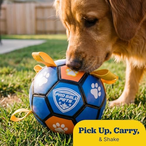Interactive Dog Soccer Ball for Dogs, 6” with Straps & Grab Tabs, Floats on Water, Fetch & Training Toy for Small/Medium Dogs, Herding Breeds, Waterproof Non-Toxic – ProBall Pets – Blue Orange