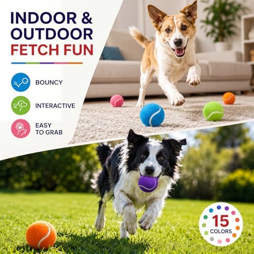 Yunsailing 45 Pcs Dog Tennis Balls 2.4 Inch Dogs Toy Balls Bright Colors Pet Training Toy for Small Medium Large Puppy Indoor Outdoor Interactive Training Exercise Games