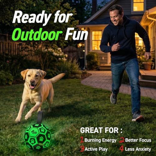 QDAN Glow in The Dark Dog Toys, Dog Soccer Ball with Straps, Night Play Fun | Light Up Dog Balls for Large Dogs, Interactive Training Dog Tug Toys for Tug of War, 8 Inch, 30-90 lbs Puppy Ball, Dog Gifts