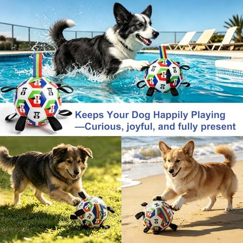 Rensh Dog Soccer Ball with Straps 6 Inch, Interactive Dog Ball for 20-40 lb