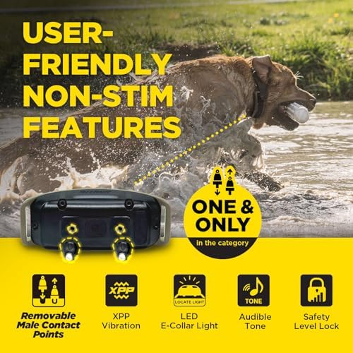 Dogtra 1900X 2-Dogs E-Collar with Remote - 3/4 Mile Range, 35 lbs+, LED Light, 100 Levels Control for Stubborn Dogs, Waterproof, Boost for Quick Recall, Vibration, Safety Lock & Tone