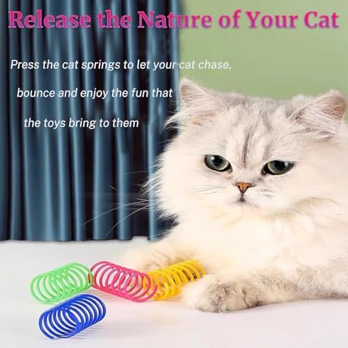 Interactive Cat Toys for Indoor Cats - 64 PCS Colorful Spiral Cat Spring Toys, Durable BPA-Free Plastic Swatting & Hunting Toys, Fun Kitten Accessories to Keep Bored Cats Activ