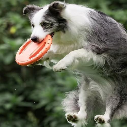 Dog Soft Flying Discs Interactive Training Toy (Orange)