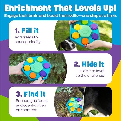 Brightkins Spin & Seek Hexagon Treat Puzzle