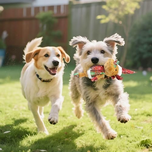 Christmas Dog Toy Squeaky Interactive Dog Toys Indoor Outdoor Play