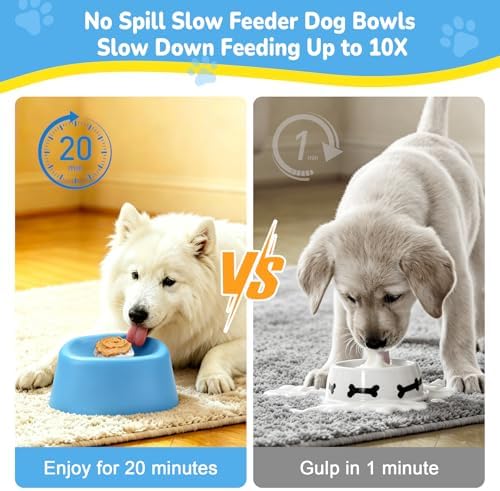 Slow Feeder Dog Bowls for Liquid Treat Wet Food Blue