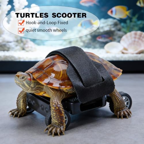 Adjustable Turtle Skateboard Playing and Training Toys Set, Full Wheel Stable Support Hook and Loop Strap, Toy for Small Reptiles & Pets (Medium)