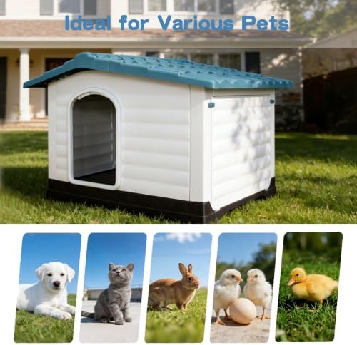 2-Door Small Dog House with Fold-Out Porch and Elevated Base, Blue