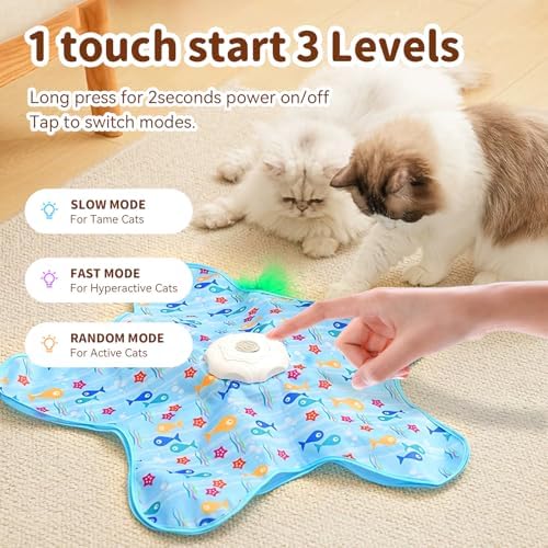 Interactive Touch Activated Hide and Seek Cat Toys for Indoor Cats, Blue