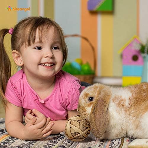 Niteangel Natural Chew Activity Toys: Meets Small Pet Chewing Needs & Mood