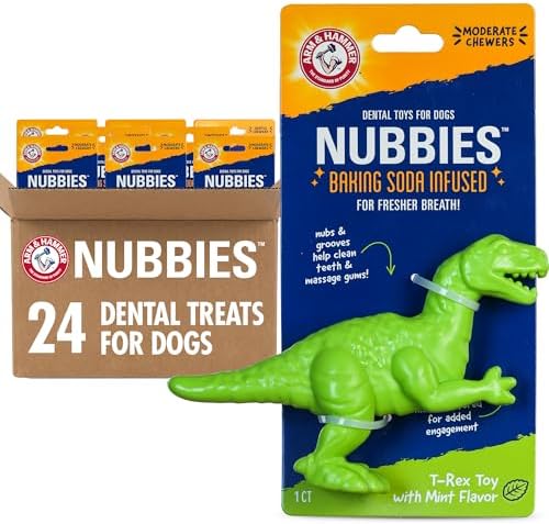 Arm & Hammer Nubbies T-Rex Dog Dental Chew Toy, Mint Flavor, 24-Pack