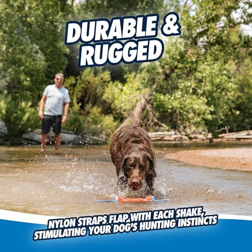 Chuckit! Rugged Bumper Fetch Stick, Medium, 13.5in, Orange and Blue
