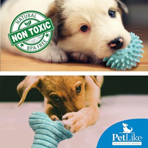 PetLike 8PCS Puppy Teething Toys Set - Interactive Dog Chew Toys with Ball & Cotton Ropes Safe & Durable Teething for Small Puppies(Blue)