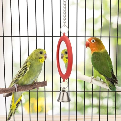 Hypeety Bird Mirror Toy with Bell Interactive Parrot Hanging Mirror, Red