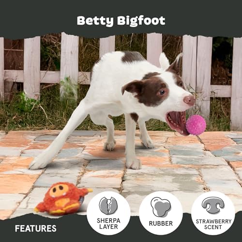 BarkBox Betty Bigfoot Dog Toy for Medium to Large Aggressive Chewers, Durable with Hidden Surprise Toy Inside for Extended Playtime