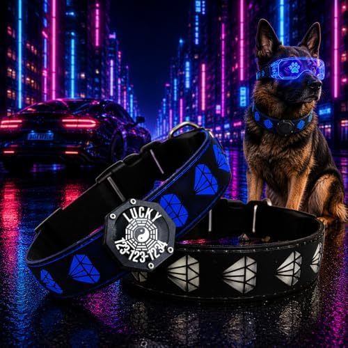 Light Up Glow Dog Collar with AirTag Holder, 15 Color Modes,