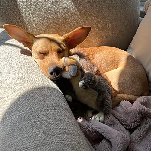 RUFFIN' IT Woodlands, Plush Squirrel, 6 in Squeaky Soft Stuffed, Dog Toy