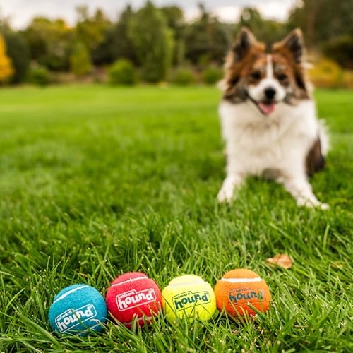 Outward Hound Squeaker Ballz Tennis Ball Dog Toy, Small, 2", 4‑Pack | Squeaks & Bounces, Bright Colors, Interactive Fetch & Training, Indoor Outdoor, Moderate Chewers, Small Dogs (Under 25 lbs)