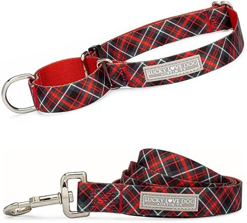 Lucky Love Dog Martingale Collar & Leash Set No Slip Cute – Heywood, Large