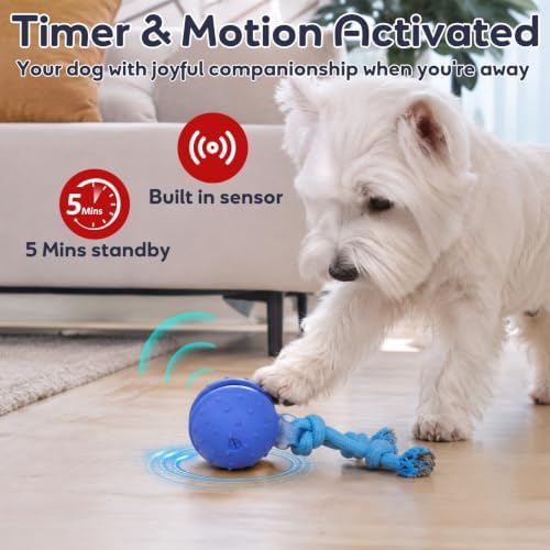Interactive Dog Toys, Automatic Moving Dog Ball with Rope, Motion Activated, Squeaky, USB Rechargeable, Active Rolling Ball for Puppy