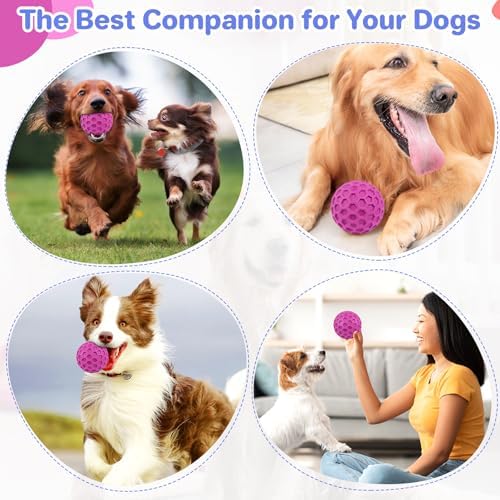 DISSKNIC Tough Squeaky Dog Balls Puppy Toys, Interactive Dog Toys for Small Dogs, Puppy Chew Toys for Teething and Relax, Dogs Chew Toy Small Balls Dog Toys for Small Breed, Outdoor Dog Toy for Dogs