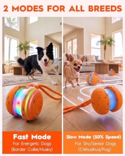 Xeuch Interactive Dog Ball, Irregular Moving and Motion Activated Toy | 2 Speeds, LED Lights, Smart Sensor, E-TPU Shell, Rope Design, Indoor Play for Dogs, Puppies, Boredom Relief