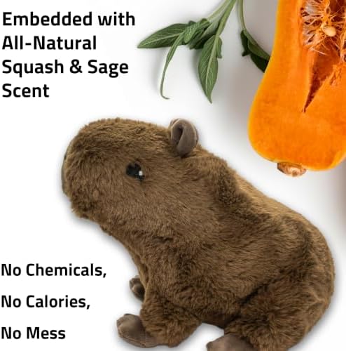 Playology Plush Capybara Dog Toy - Squeaky Dog Toy - Medium, Squash Scent