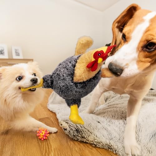 Squeaky Stuffed Dog Toys, Plush Chicken Toy for Small, Medium & Large Dogs
