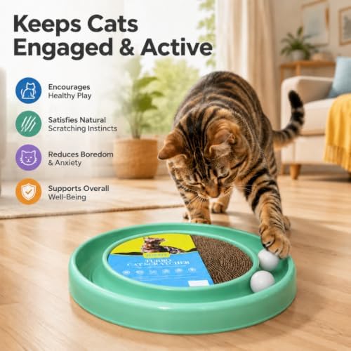 Cat Scratcher Toy Ball Track (Green)
