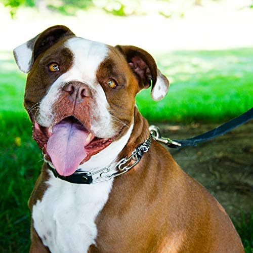 Herm Sprenger Prong Collar for Dog Training with Easy Quick Release Buckle - German Made Dog Collar with Chrome Plated Steel 4.0mm Prongs for Extra Large Dogs (26-31" Neck)