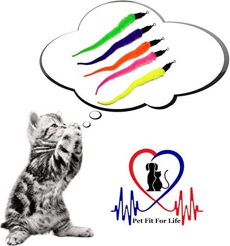 Pet Fit For Life Cat Wand Toy, 5-Piece Worm Teaser & Exerciser