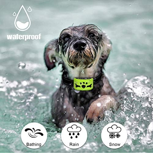 Dog No Bark Collar with Smart Detection Vibration and Harmless Shock- Rechargeable Anti Barking Device for Small Medium and Large Dog