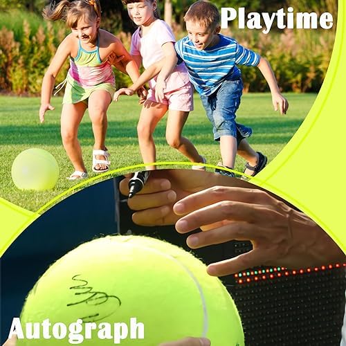 Banfeng Big Dog Tennis Ball,9.5" Giant Doy Sport Ball Toy Birthday Gifts (Pack of 2)