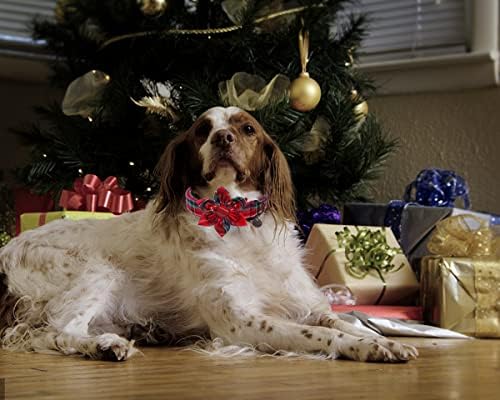 DOGWONG Christmas Dog Collar with Flower, Red Plaid Dog Collar Soft Durable Adjustable Cotton Red Tartan Puppy Collar for Small Medium Large Dog