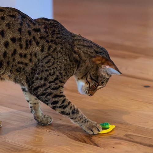 Catstages Dental Lemon Teether Interactive Chew Cat Toy with Catnip, 2.4"