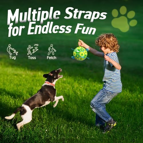 QDAN Dog Toys Soccer Ball, Durable Dog Balls with Strap for 20-40 lbs Dogs | 6 Inch Puppy Water Pool Toy, Durable Rope Toys for Dogs, Outdoor Herding Balls for Small Medium Dogs, Dog Gifts, Green
