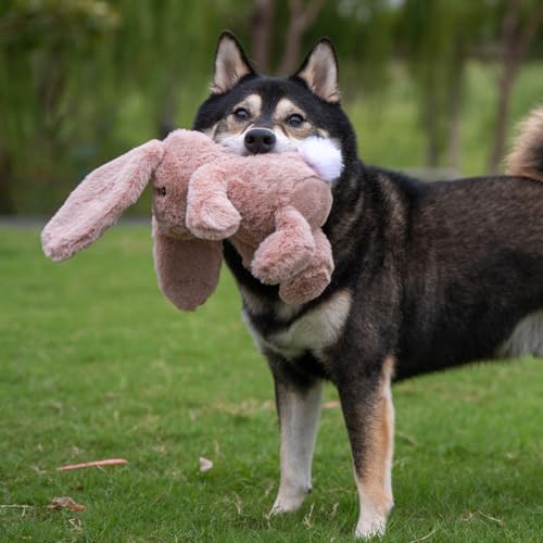 Best Pet Supplies Bunny Buddy Squeaky Plush Dog Toy - Mauve, Small | Soft Plush, Squeaks & Crinkles, Perfect for Moderate Chewers, Toss & Fetch Play, Stress & Anxiety Reliever, Ideal Gift Toy