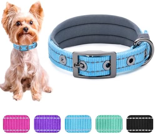 Segarty Reflective Blue Dog Collar for Small Dogs, Adjustable Wide Soft Comfortable Breathable Neoprene Padded Nylon Collar with Heavy Duty Metal Buckle for Puppy Small Breeds (S, Light Blue)