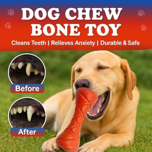 Interactive Dog Bone Toy - Lightweight EVA Foam Floating Fetch Toy for Water & Land - Soft Durable Fitness Bone for Training & Exercise - Textured Grip Gentle on Teeth & Gums, Pet Chew Toy (Blue)