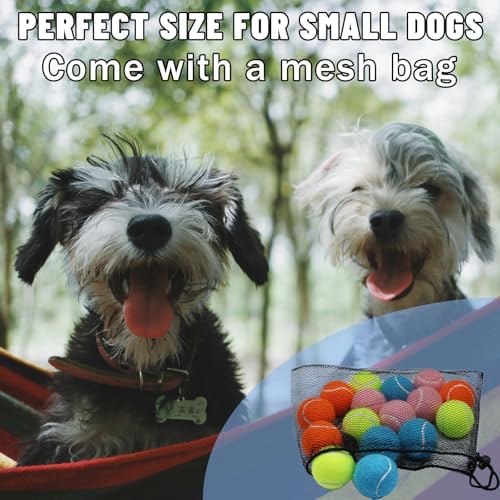 Magicorange Small Tennis Balls, 20 Pack 2 inch Tennis Balls for Dogs